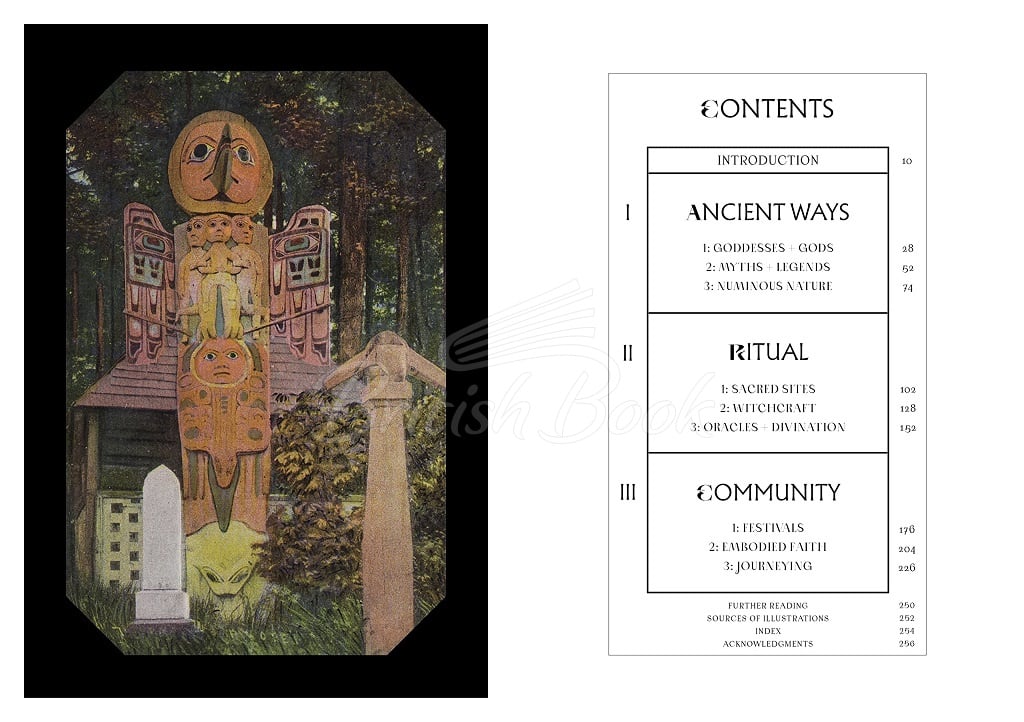 Книга Pagans: The Visual Culture of Pagan Myths, Legends and Rituals зображення 1