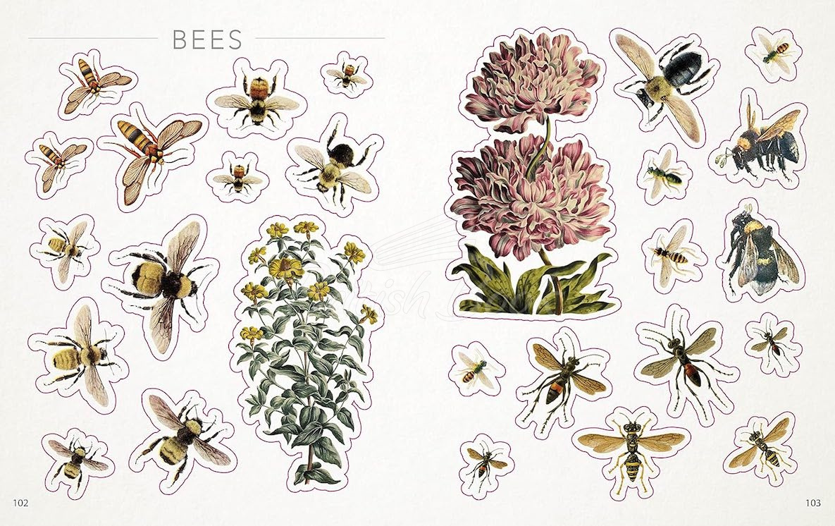 Книга The Bees, Birds, and Butterflies Sticker Anthology изображение 5