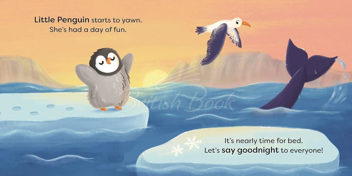 Книга Say Goodnight, Little Penguin зображення 1