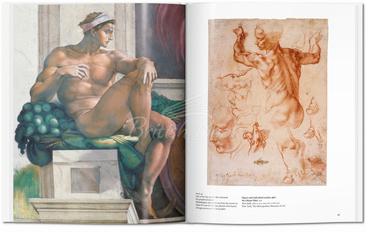 Книга Michelangelo зображення 6