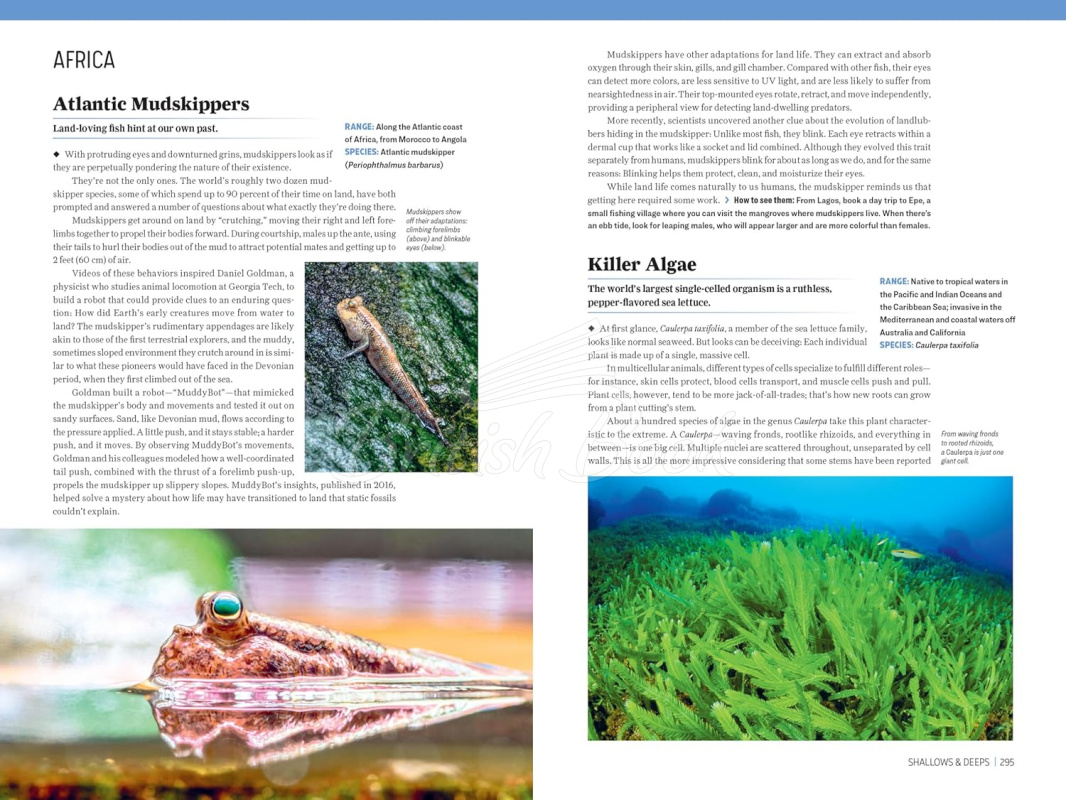 Книга Atlas Obscura: Wild Life зображення 7