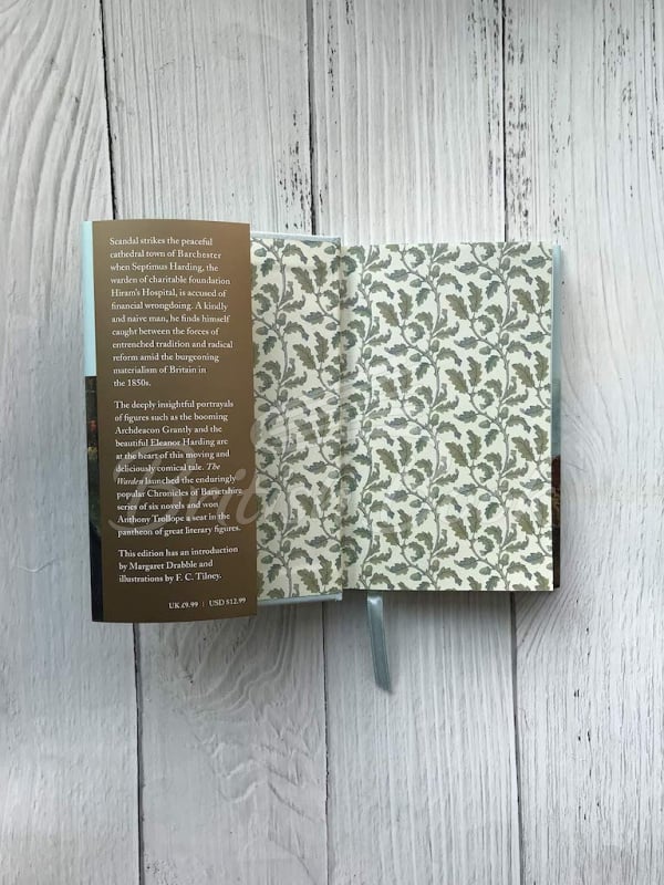 Книга The Warden зображення 4