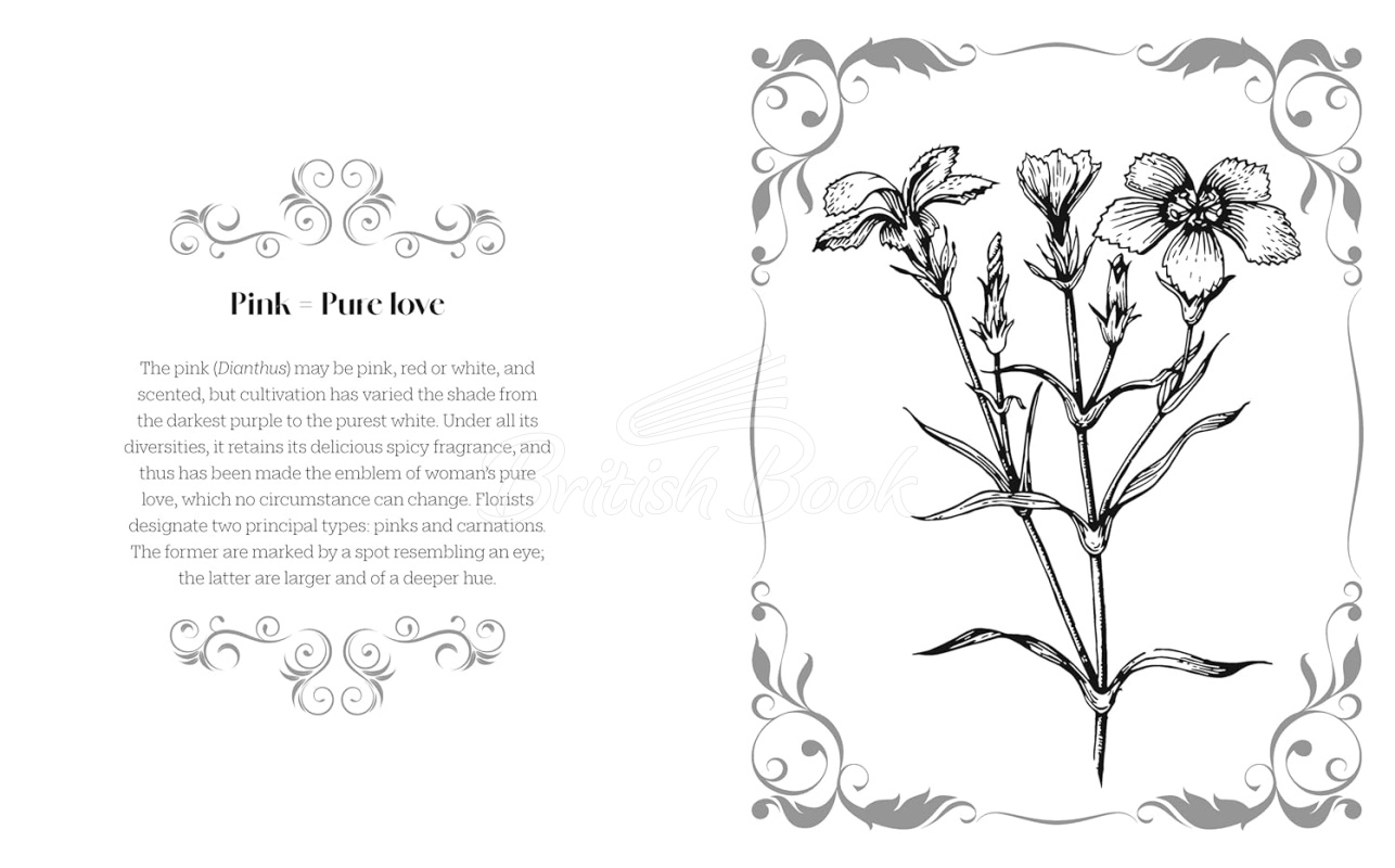 Книга The Language of Flowers Colouring Book зображення 3
