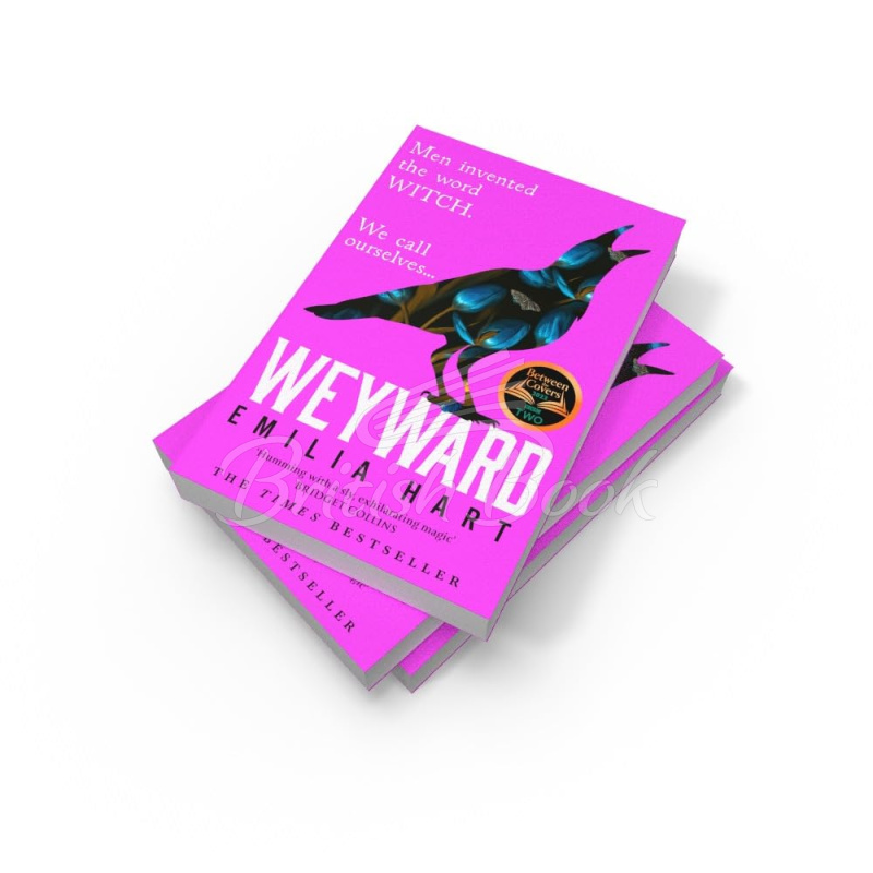 Книга Weyward изображение 5