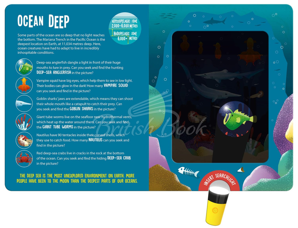 Книга Magic Searchlight: Ocean Animals изображение 1