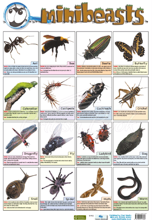 Плакат Mini Beasts Poster зображення