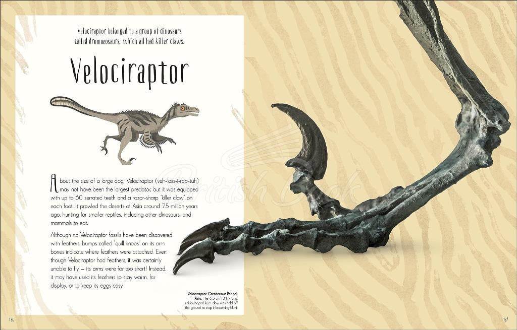 Книга Dinosaurs and Other Prehistoric Life изображение 7