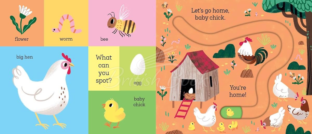 Книга Let's Go Home, Baby Chick зображення 3