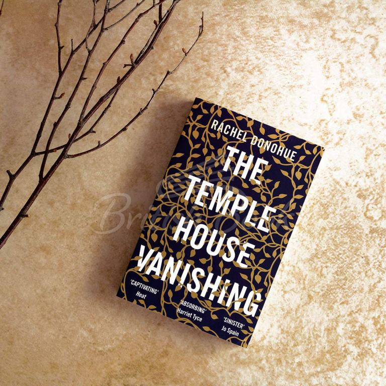 Книга Temple House Vanishing зображення 1