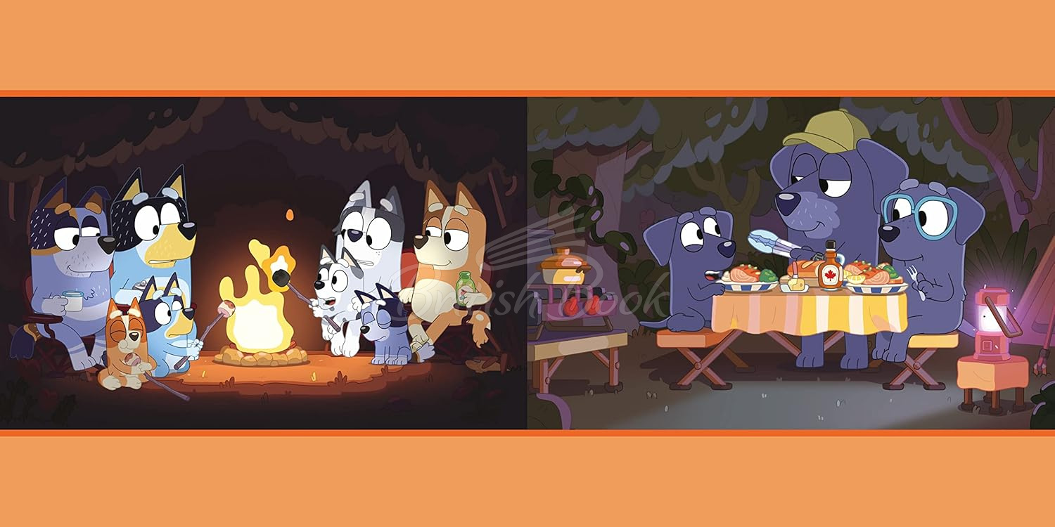 Книга Bluey: Camping изображение 2