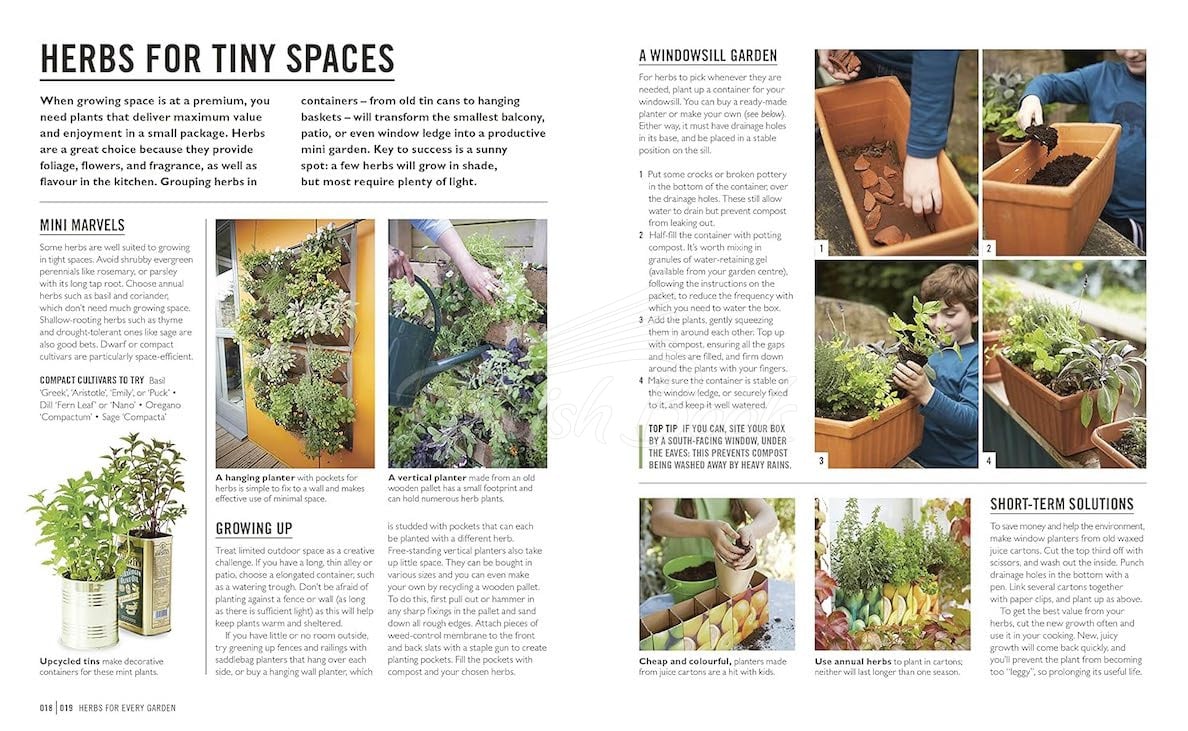 Книга Herbs зображення 3