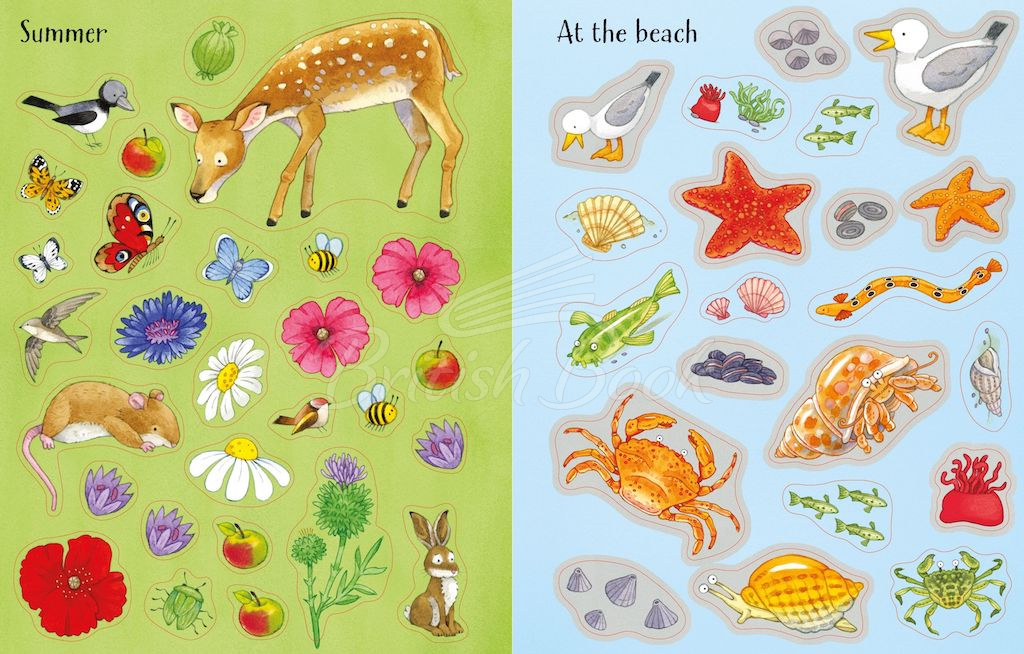 Книга Poppy and Sam's Nature Sticker Book изображение 3