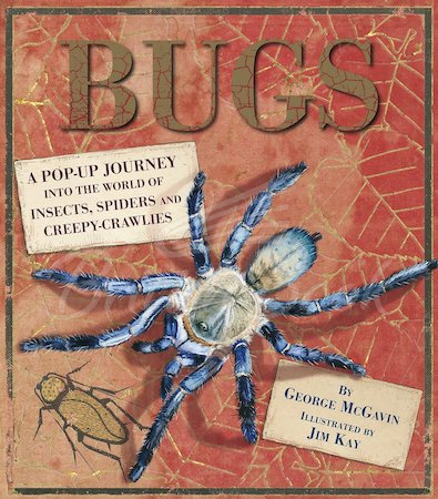 Книга Bugs: A Pop-up Journey into the World of Insects, Spiders and Creepy-crawlies зображення