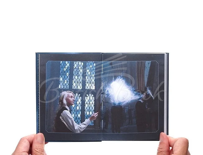 Подарунковий набір Harry Potter: Patronus Guided Journal and Inspiration Card Set зображення 3