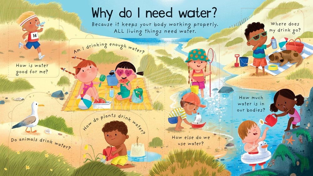 Книга Lift-the-Flap Very First Questions and Answers: Where Does Water Come From? зображення 4