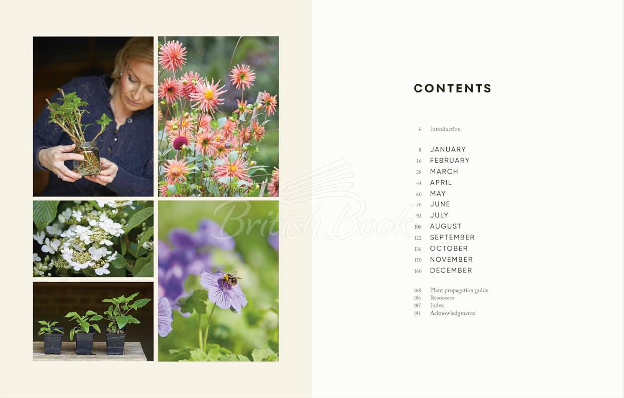 Книга The Money-Saving Garden Year: A Month-by-Month Guide to a Great Garden that Costs Less изображение 1