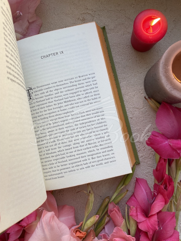 Книга Sense and Sensibility зображення 4