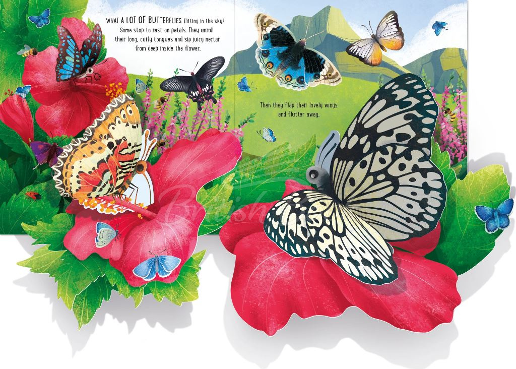 Книга Pop-Up Butterflies изображение 4