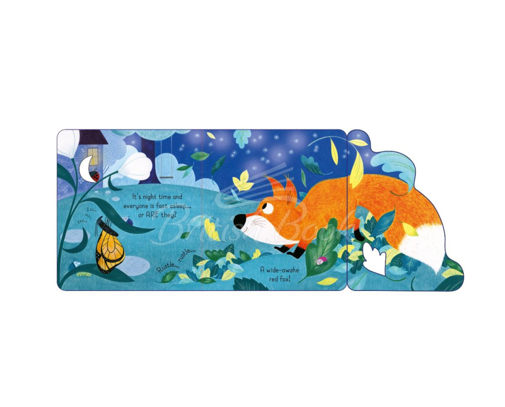 Книга Little Lift and Look: Red Fox зображення 1