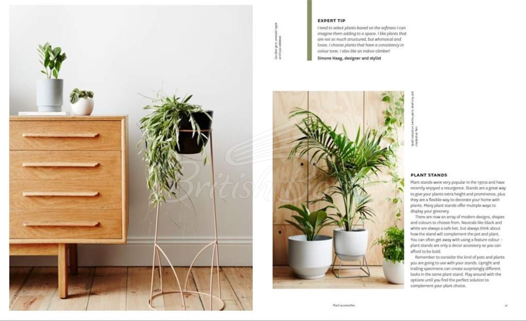Книга Plant Style изображение 5