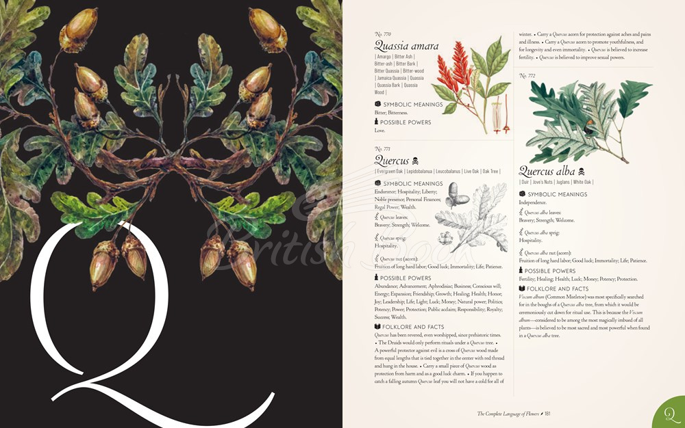 Книга The Complete Language of Flowers (Pocket Edition) зображення 5