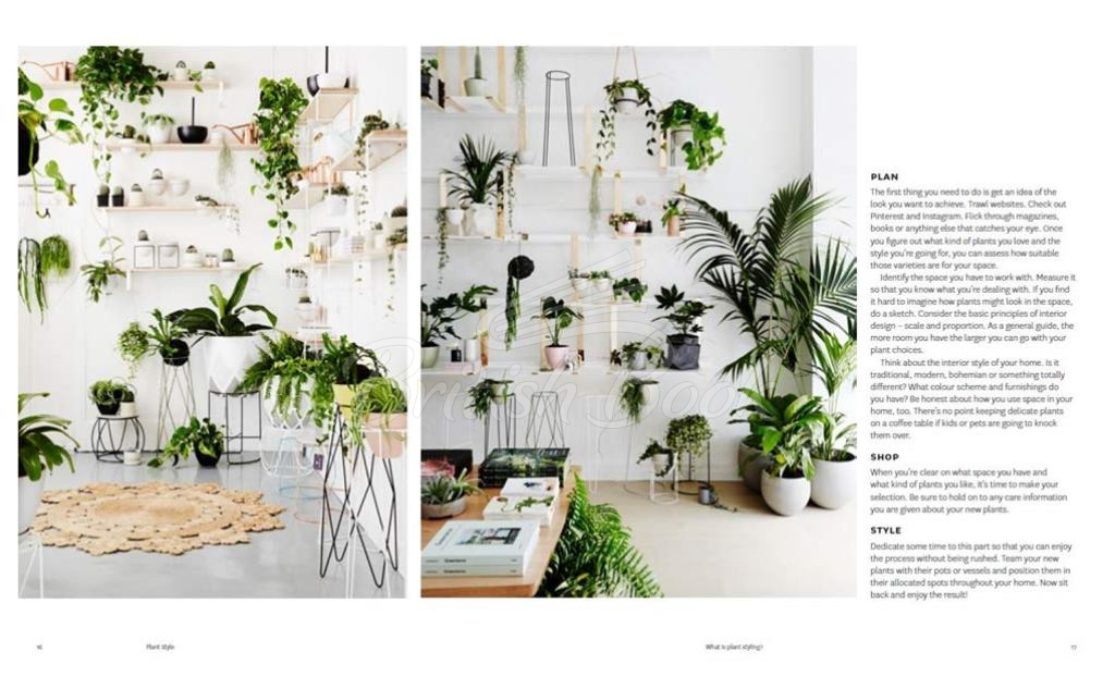 Книга Plant Style зображення 3
