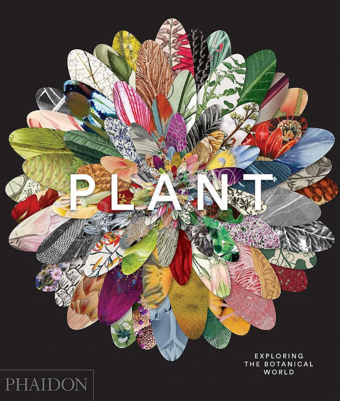 Книга Plant: Exploring the Botanical World зображення