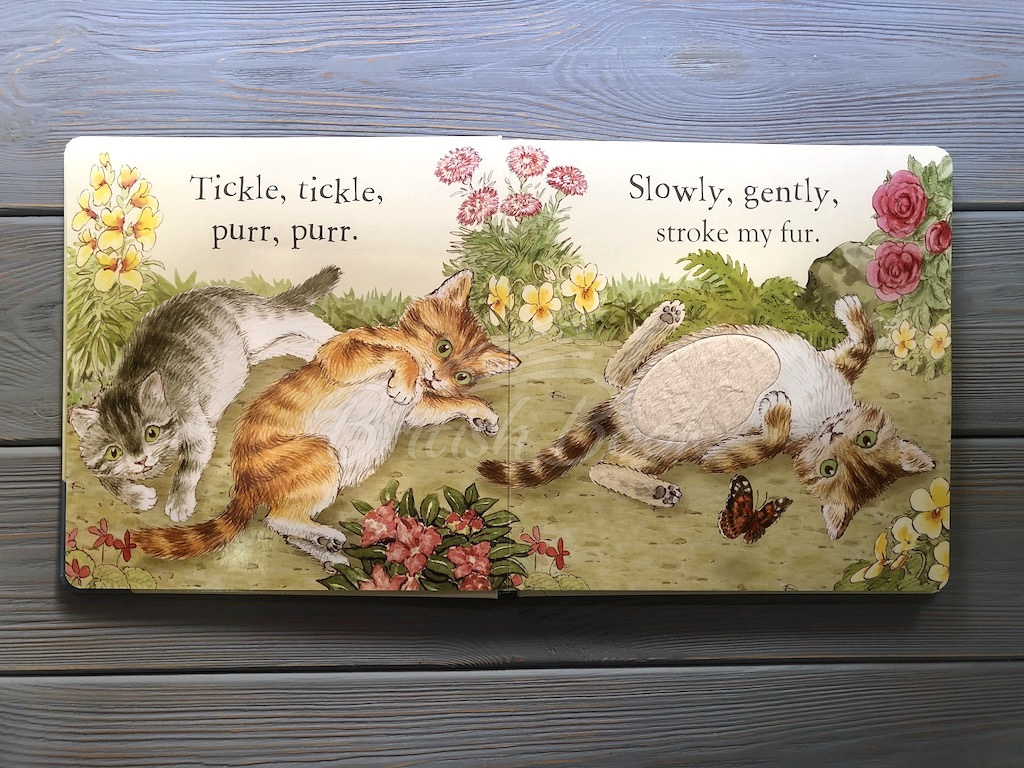 Книга Peter Rabbit: Tickle Tickle Peter! (A First Touch and Feel Book) изображение 3