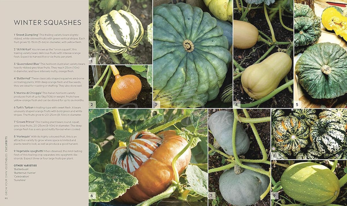 Книга RHS Step-by-Step Veg Patch: A Foolproof Guide to Every Stage of Growing Fruit and Veg изображение 5