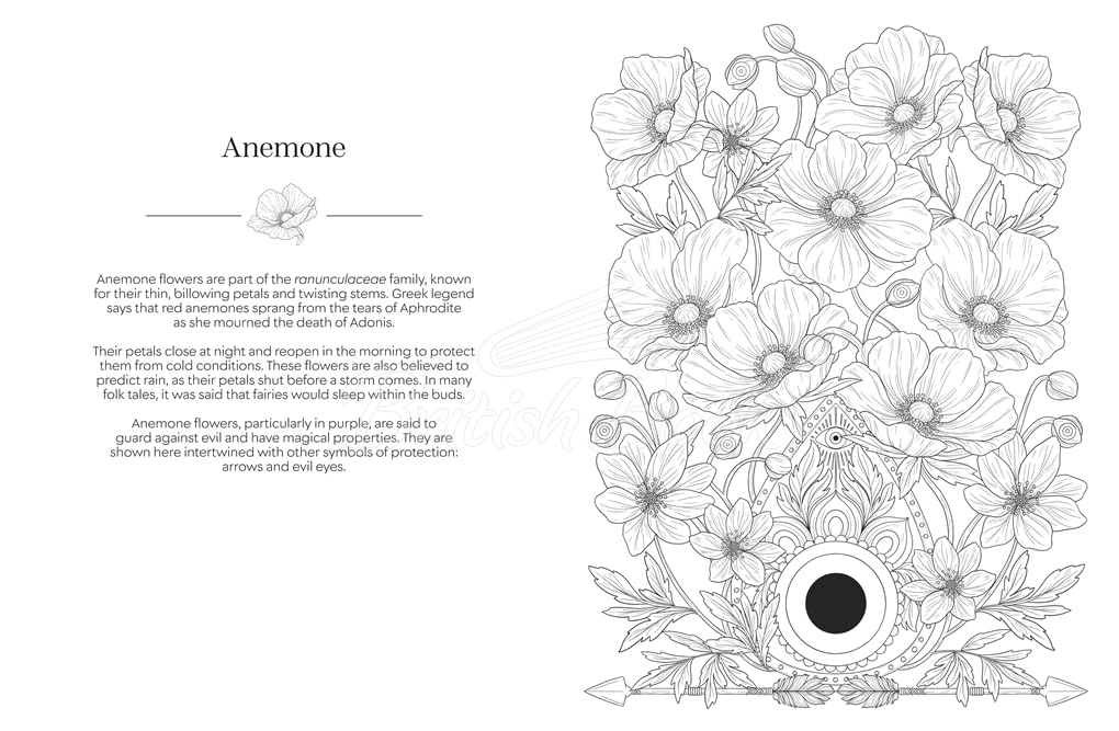 Книга The Language of Flowers Colouring Book: Botanicals from Around the World and their Meanings изображение 1