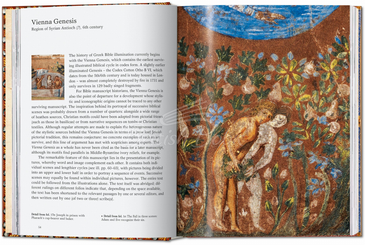 Книга The Book of Bibles изображение 2