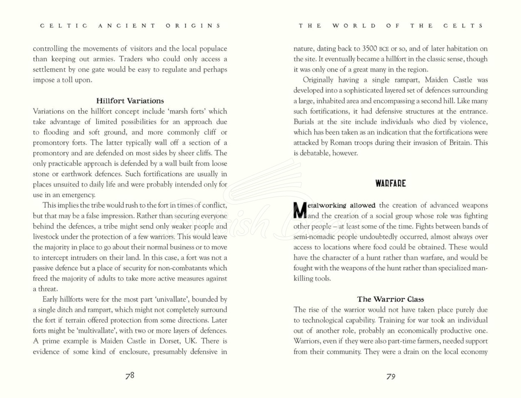 Книга Celtic Ancient Origins: Stories of People & Civilization изображение 2