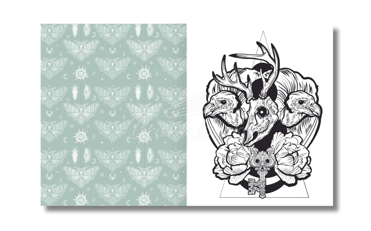 Книга The Gothic Colouring Book изображение 3