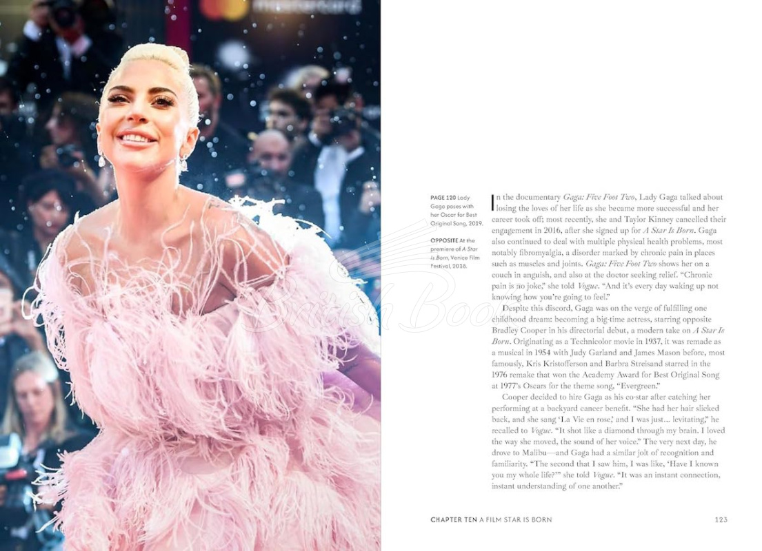 Книга The Essential... Lady Gaga зображення 2