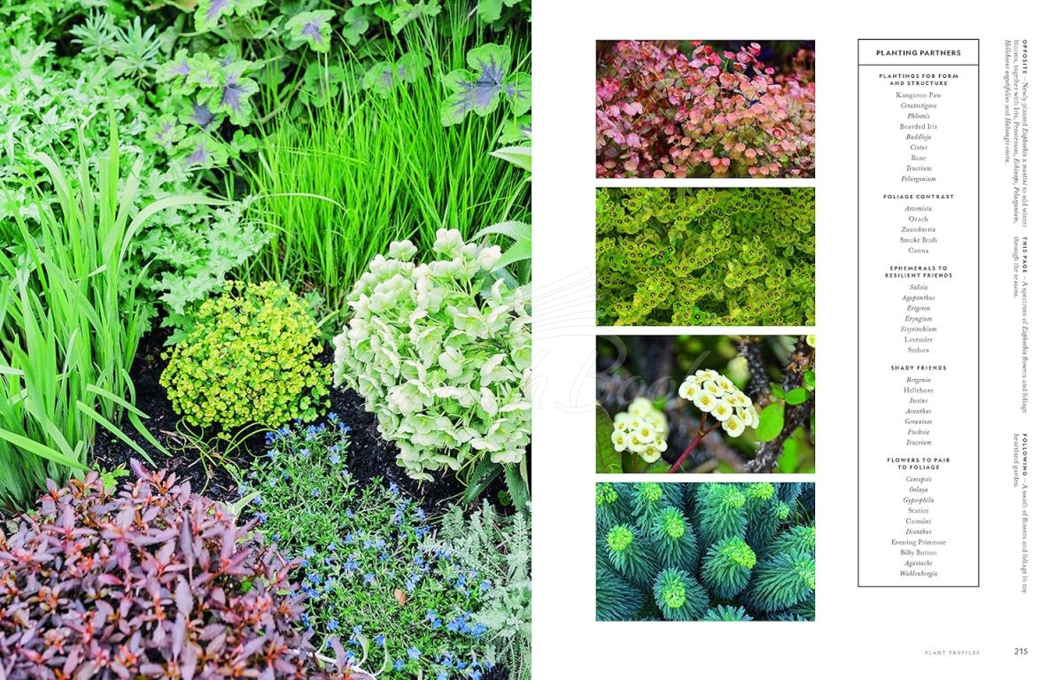 Книга Super Bloom: A Field Guide to Flowers for Every Gardener зображення 7