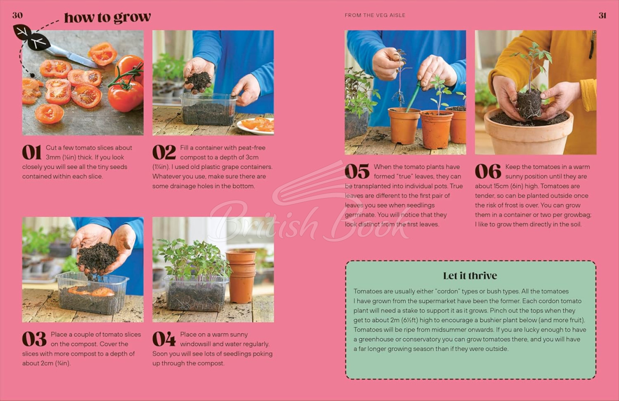 Книга Grow Your Groceries: 40 Hacks for Growing Plants from Your Weekly Shop зображення 4