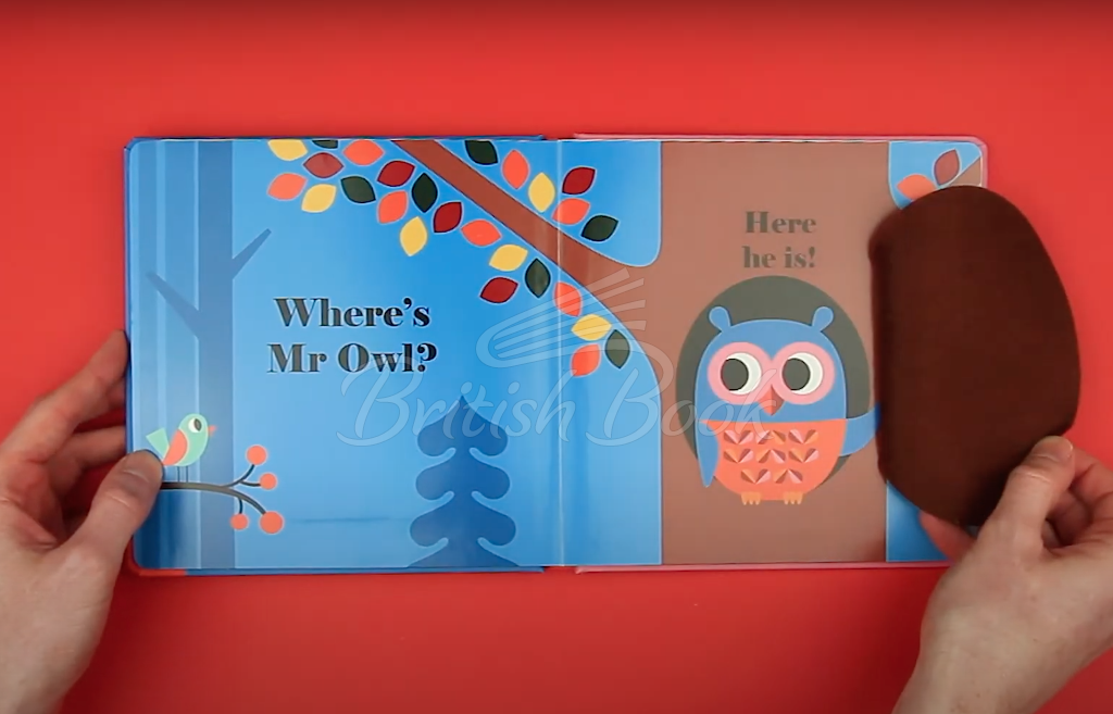Книга Where's Mr Owl? зображення 10