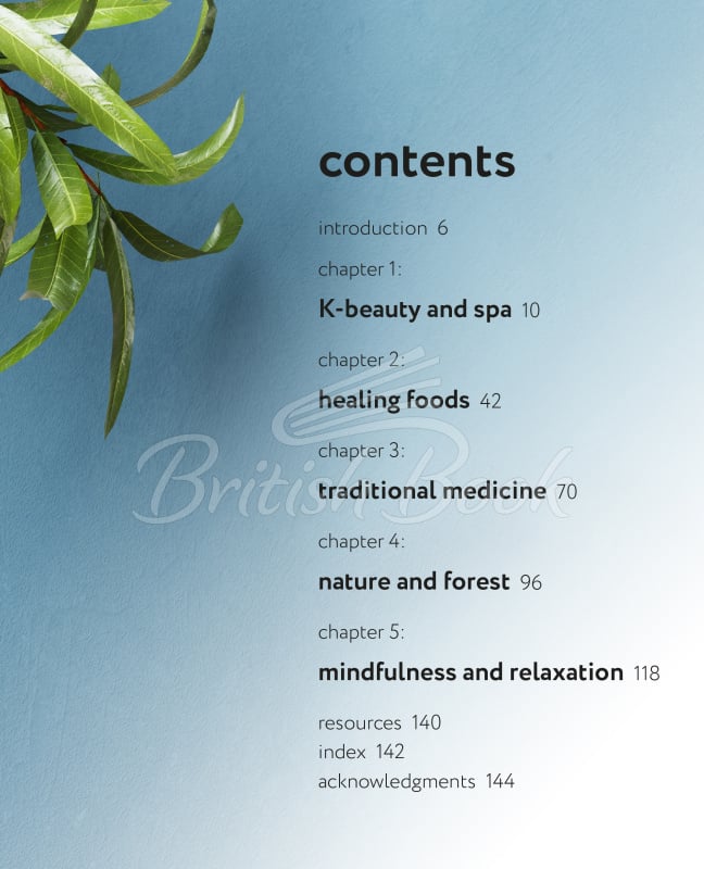 Книга The Book of Korean Self-Care зображення 1