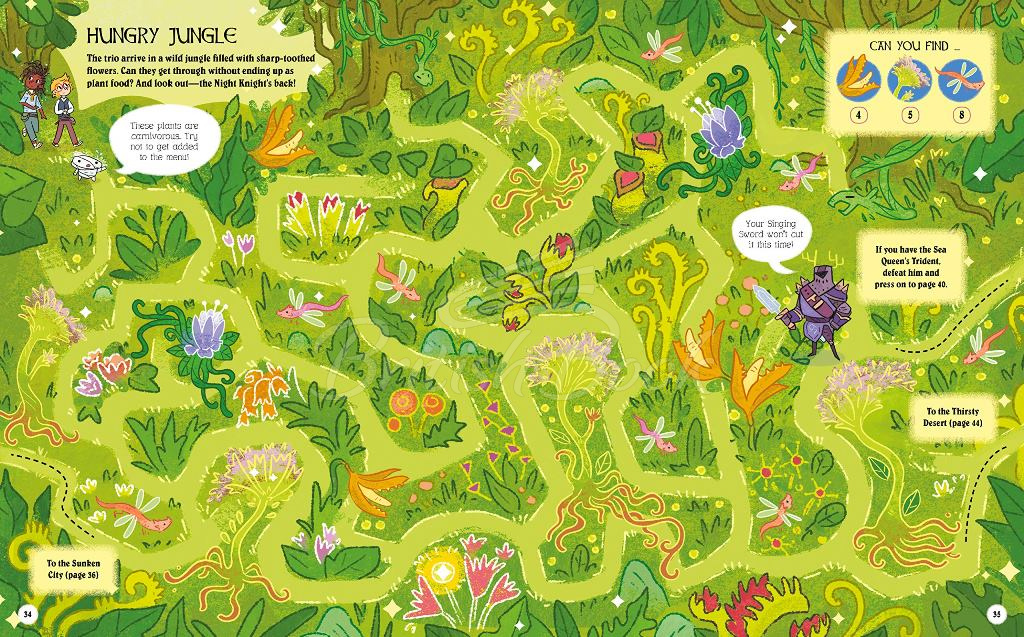 Книга Maze Quest изображение 3
