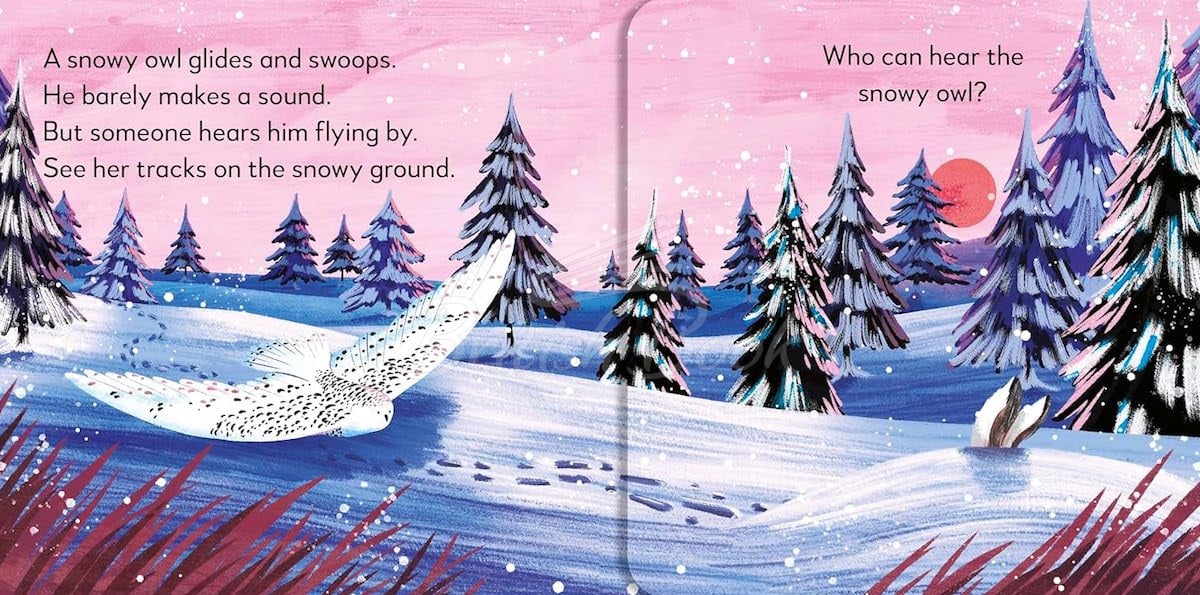 Книга Pop-Up Peekaboo! Winter зображення 4