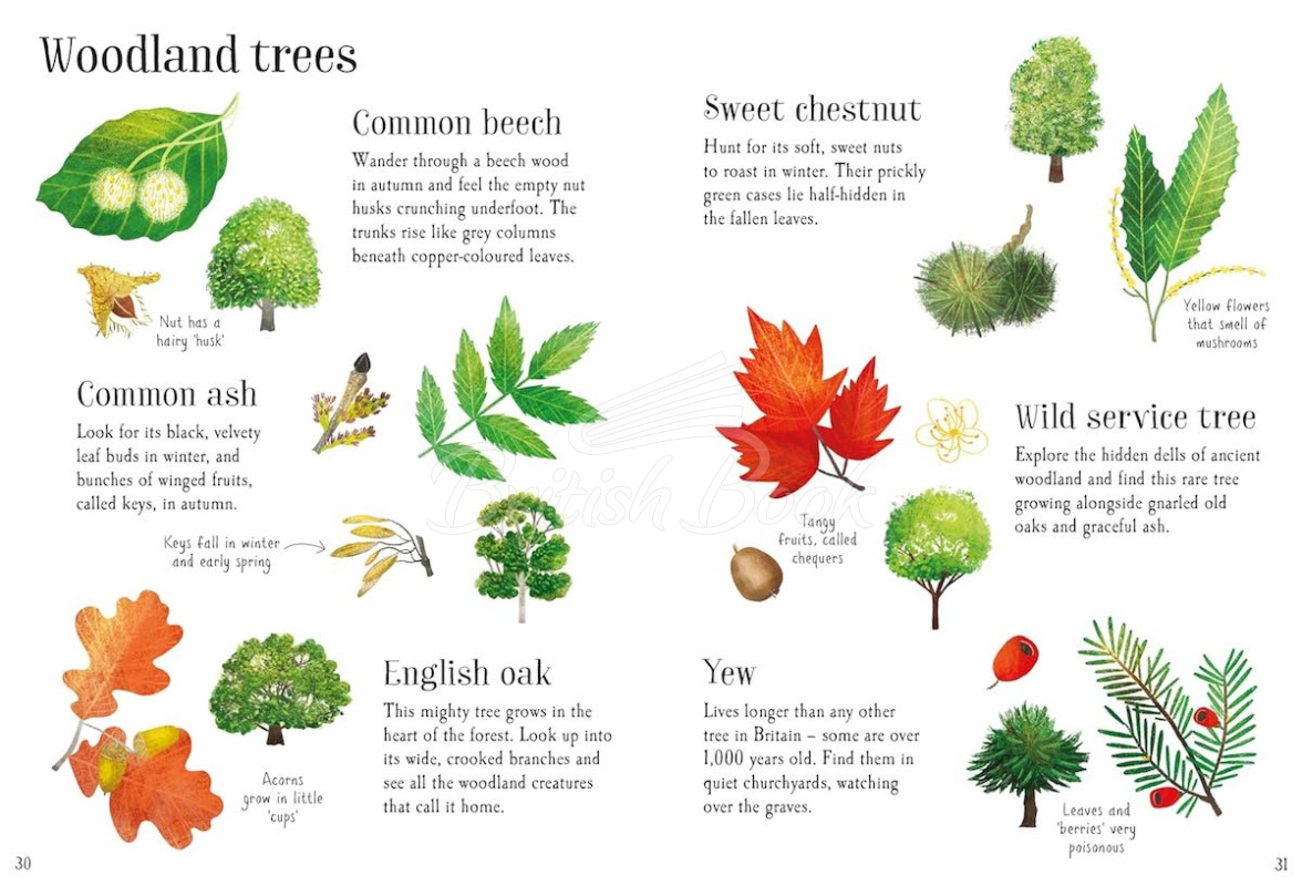 Книга Nature Spotting Guide зображення 2