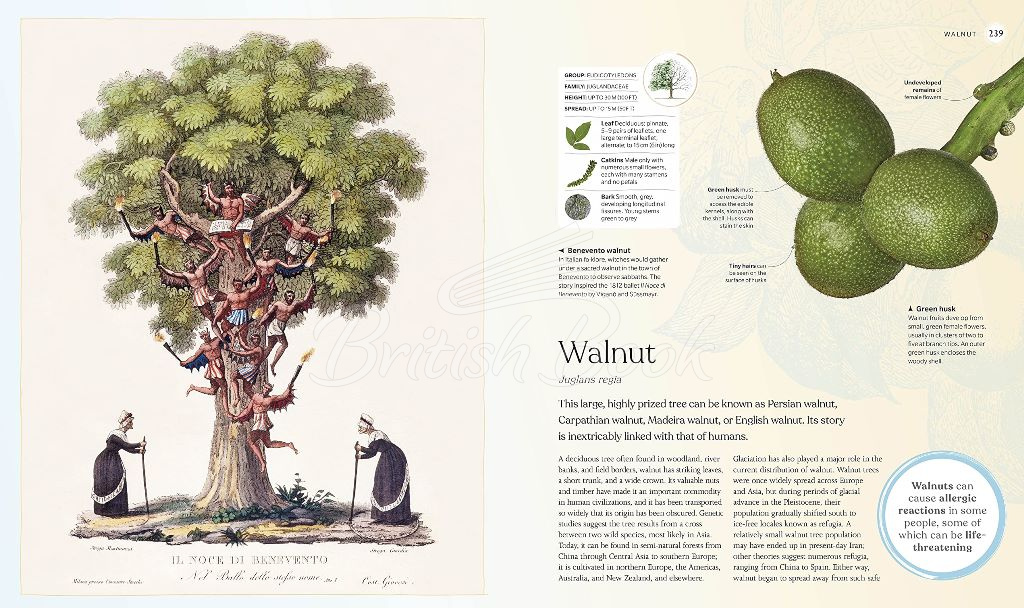 Книга The Tree Book зображення 3