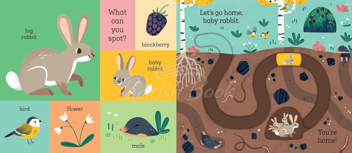 Книга Let's Go Home, Baby Rabbit зображення 2