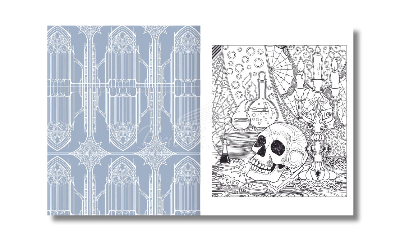 Книга The Gothic Colouring Book изображение 1