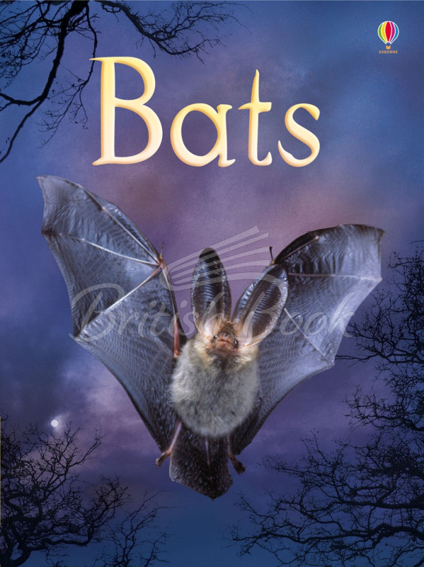 Книга Usborne Beginners Bats изображение