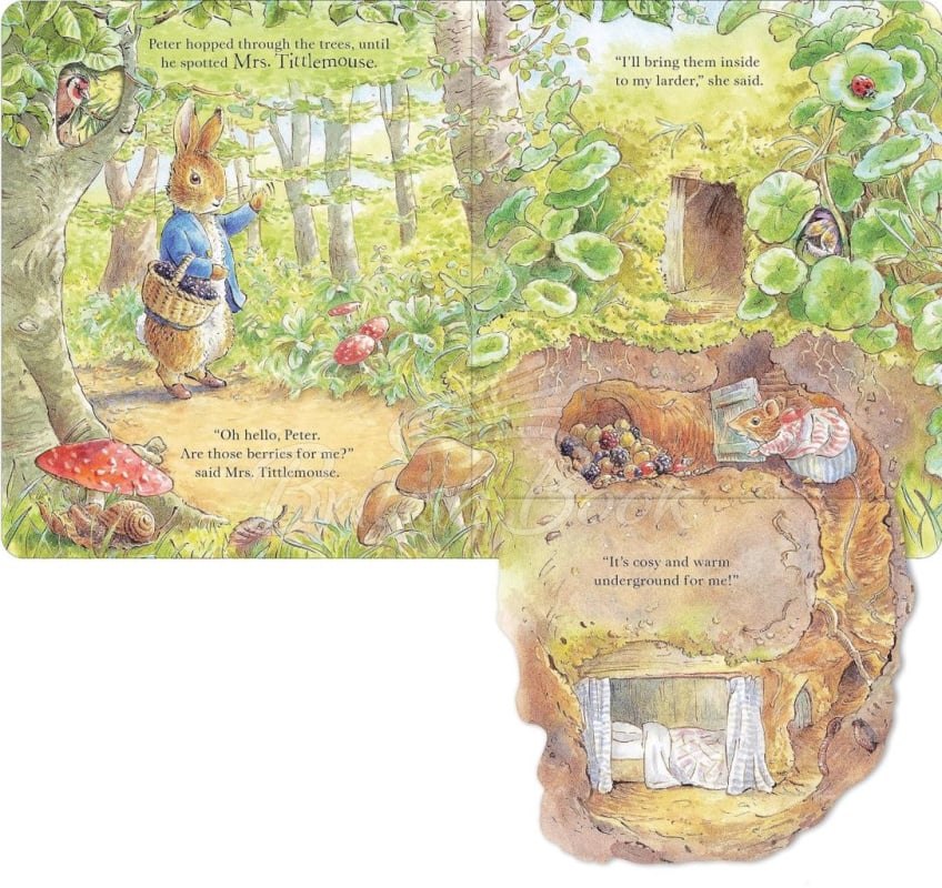 Книга Peter Rabbit: Forest Homes (A Peep-Inside Tale) изображение 2