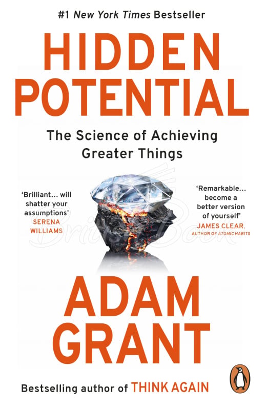 Книга Hidden Potential изображение