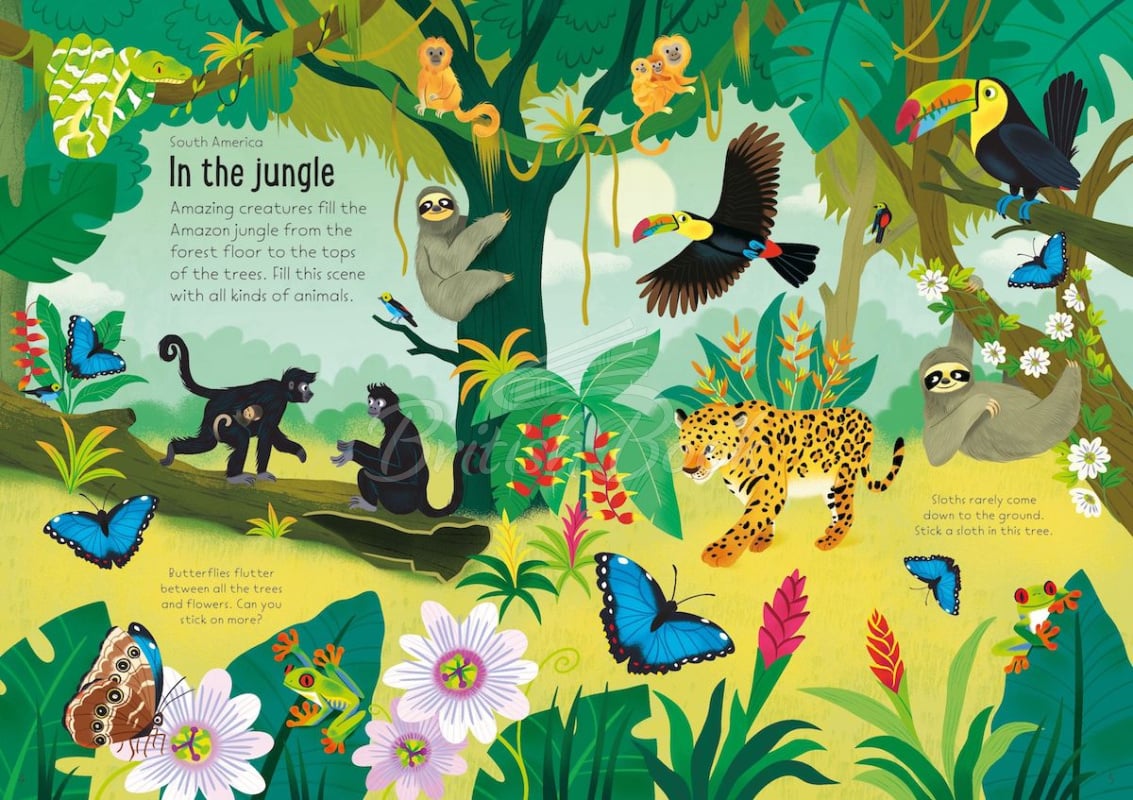 Книга Little First Stickers: Nature изображение 5