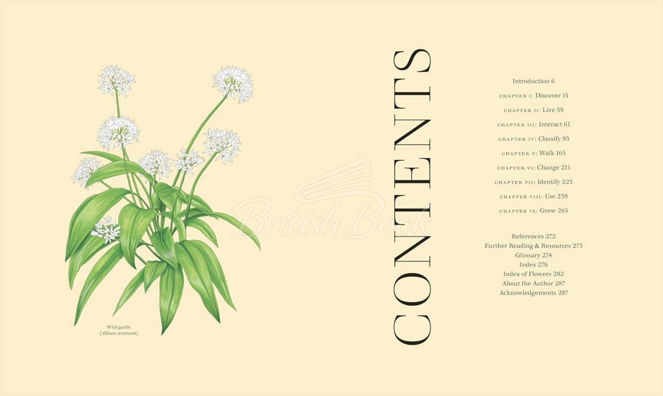 Книга Wildflowers: Discover the Science and Secrets Behind the World of Wildflowers зображення 2