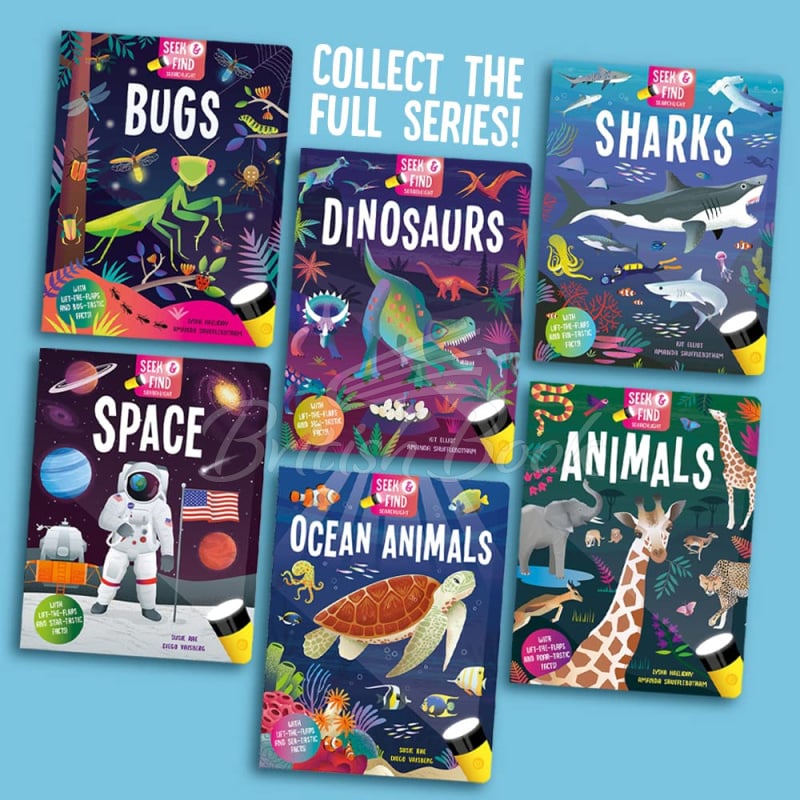 Книга Seek and Find Searchlight: Ocean Animals изображение 4